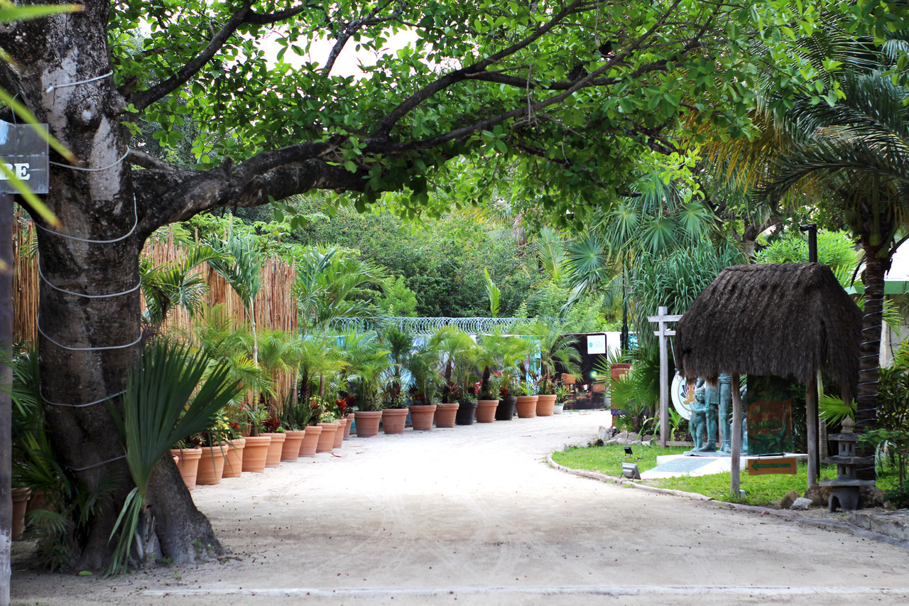 Hotel Akumal Caribe Path