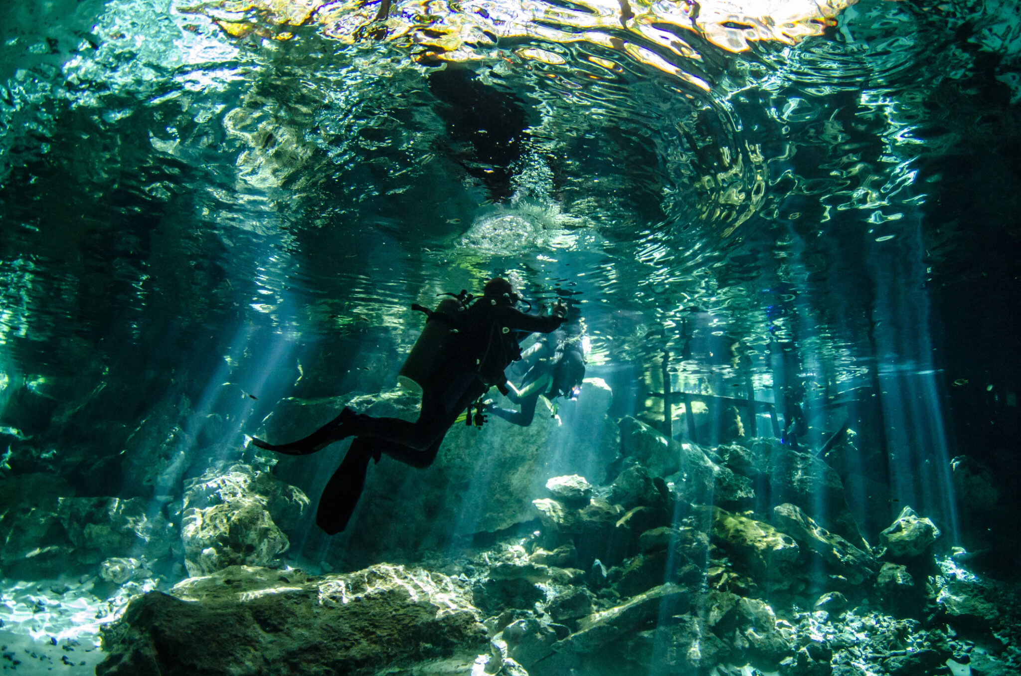 Diving in the Yucatan Cenotes
